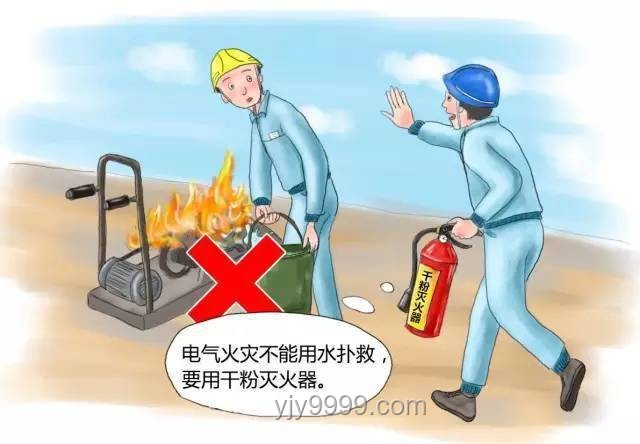 上海维修工防“鼠从天降”实用指南：安全作业全攻略